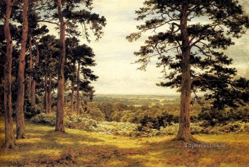 パインズの風景を覗く ベンジャミン・ウィリアムズ リーダーの森 Oil Paintings
